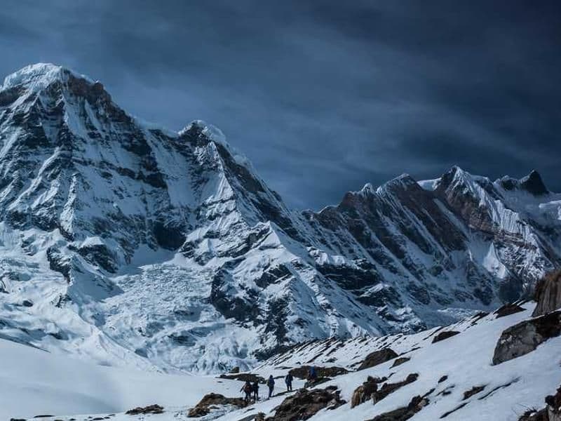 Hiểu về công nghệ sinh học