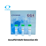 AccuPid HAdV Detection Kit (RUO)