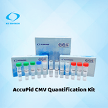 AccuPid CMV Quantification Kit (RUO)