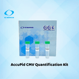 AccuPid CMV Quantification Kit (RUO)
