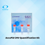 AccuPid CMV Quantification Kit (RUO)