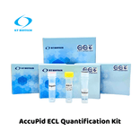 AccuPid ECL Quantification Kit (RUO)