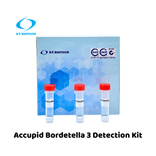 Accupid Bordetella 3 Detection Kit (RUO)