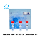 AccuPid HSV1-HSV2-GV Detection Kit (RUO)