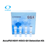AccuPid HSV1-HSV2-GV Detection Kit (RUO)