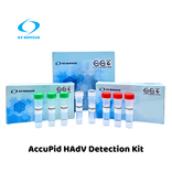 AccuPid HAdV Detection Kit (RUO)