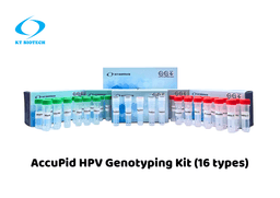 AccuPid HPV Genotyping Kit (RUO)