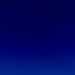 AccuPid HSV1-HSV2-GV Detection Kit (RUO) abcd abcd abcd